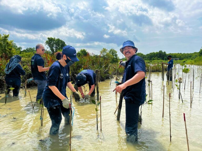 MHB plants 500 mangrove trees supporting global decarbonisation effort